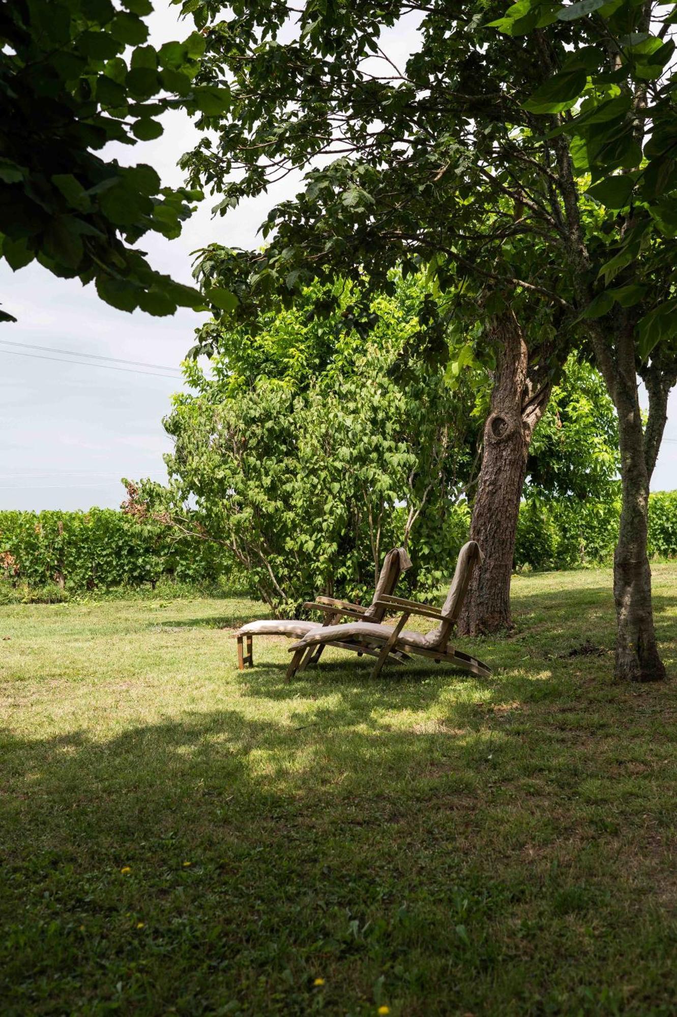Clos De La Barbanne Montagne  Zewnętrze zdjęcie